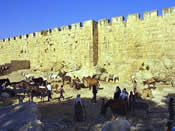 Jerusalem East Wall